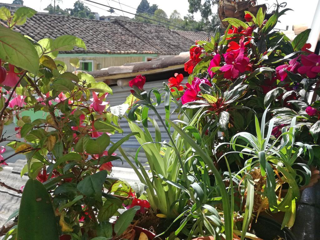 Posada Elenita Саленто Экстерьер фото