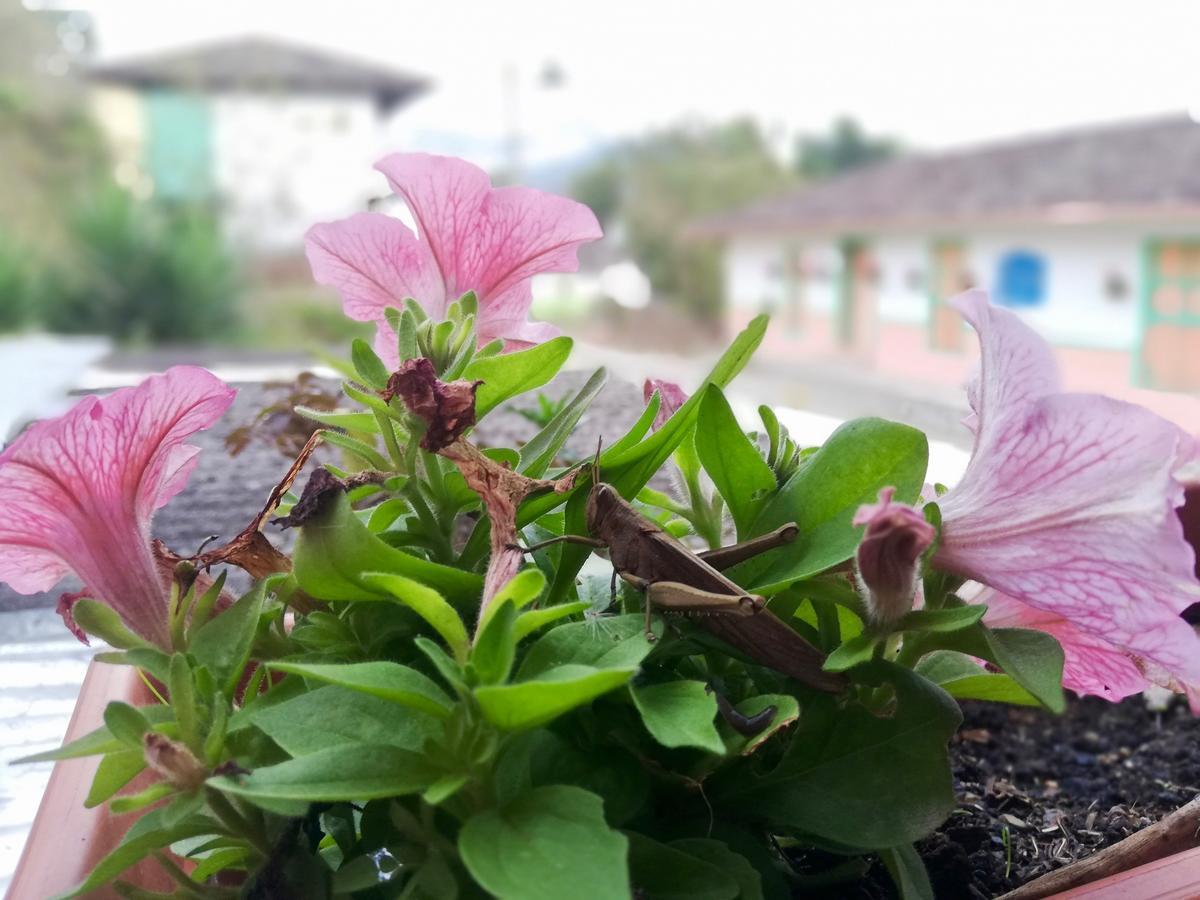 Posada Elenita Саленто Экстерьер фото
