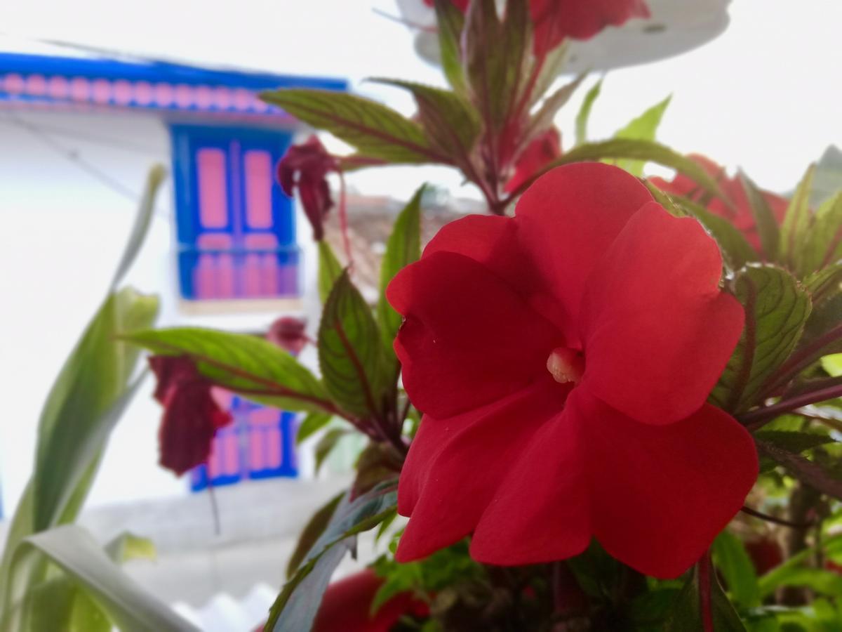 Posada Elenita Саленто Экстерьер фото